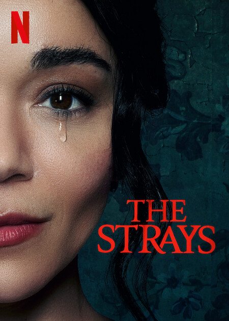 The Strays (2023) 1080p WEB-DL x264 DD5 1 Multi Audios-BWT Exclusive