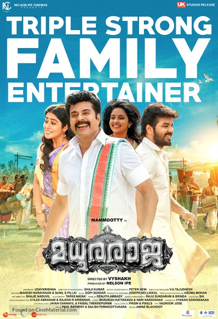 Madhura Raja (2019) Malayalam - 1080p - WEB-DL - AVC - AAC-BWT