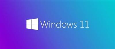 Windows 11 Pro Insider Preview 10.0.22000.51 (x64) Multilanguage