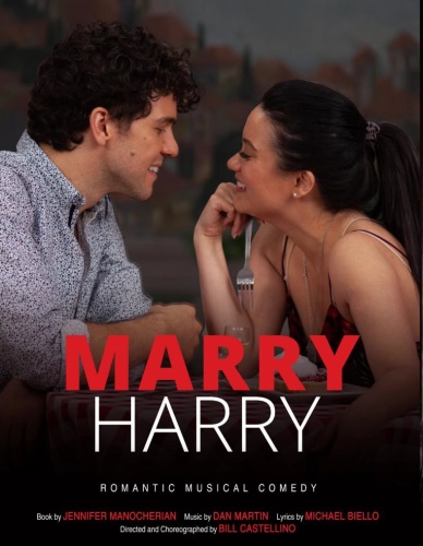 Marry Harry 2020 1080p AMZN WEBRip DDP2 0 x264-ISA 