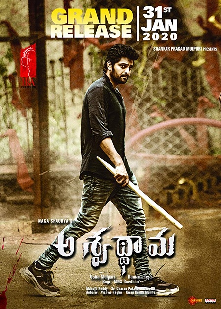 Aswathama (2020) Telugu 720p PreDVDRip x264-TMV