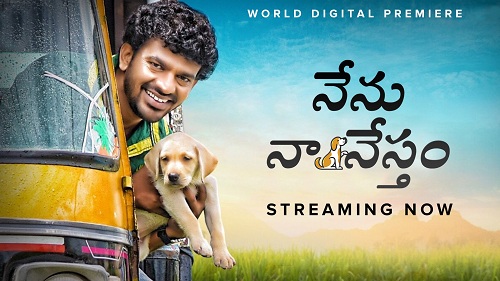 Nenu Naa Nestham (2020) Telugu (Org Vers) 1080p WEB-DL AVC AAC ESub-BWT