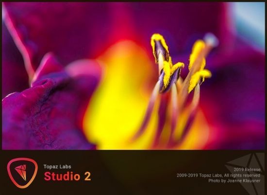 Topaz Studio 2.3.2 (x64)