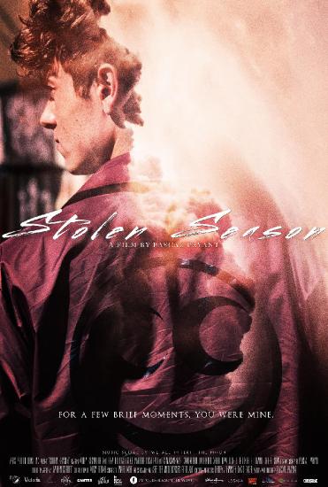 Stolen Season 2020 HDRip XviD AC3-EVO