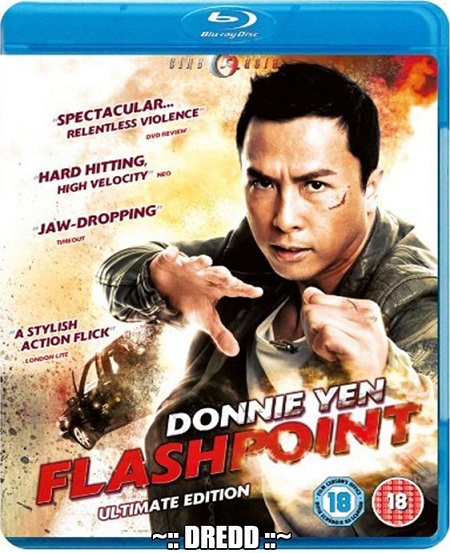 Flash Point (2007) 720p BluRay x264 [Dual Audio][Hindi+Chinese] - DREDD